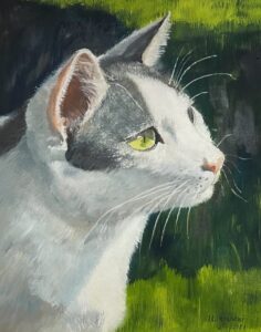 IMG_2992_opti-804x1024