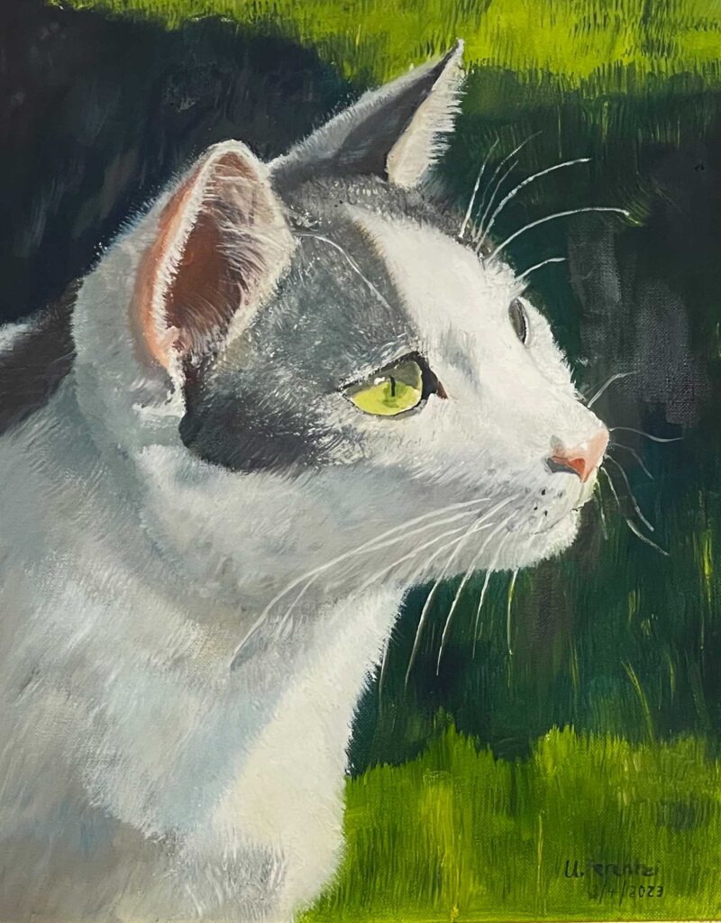 Das Ölgemälde zeigt Mickey-Merlin als Portrait im seitlichen Profil, dem Sonnenlicht zugewandt. Die Schattierungen sind weich und sorgfältig aufgebaut: Dunkle Partien seines schwarz-weißen Fells gehen fließend in lichte Übergänge über und geben seinem Kopf Tiefe und Form. Nichts ist hart abgegrenzt – alles wirkt atmend, ruhig, von Licht durchzogen. Besonders eindrucksvoll sind die Lichtreflexe in seinen Augen. Kleine, helle Spiegelungen fangen die Sonne ein und verleihen seinem Blick Lebendigkeit und Seele, als würde in diesem Moment ein Gedanke aufblitzen. Die Augen werden zum stillen Zentrum des Bildes, getragen von der sanften Modellierung des Gesichts. So entsteht ein Portrait, das weniger beschreibt als fühlt: Licht und Schatten erzählen gemeinsam von Ruhe, Würde und der stillen Präsenz dieses Katers, der im Sonnenlicht ganz bei sich ist.