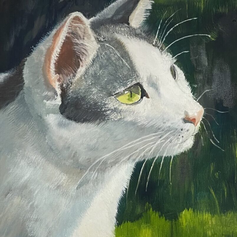 IMG_2992_opti-804x1024